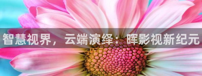 达达兔电影在线观看免费