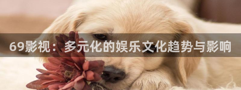 达达兔影院旧版本