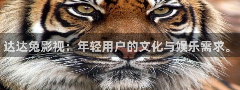达达兔dada tu神马电影